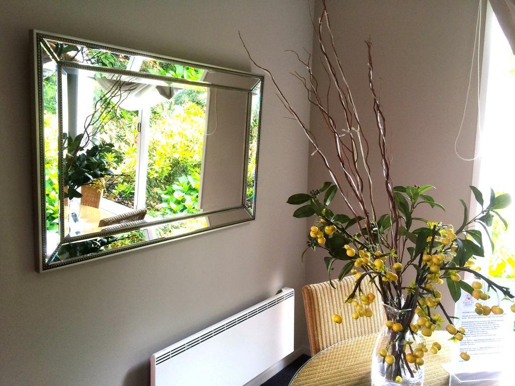Firth Street Mews B&B Matamata Zewnętrze zdjęcie